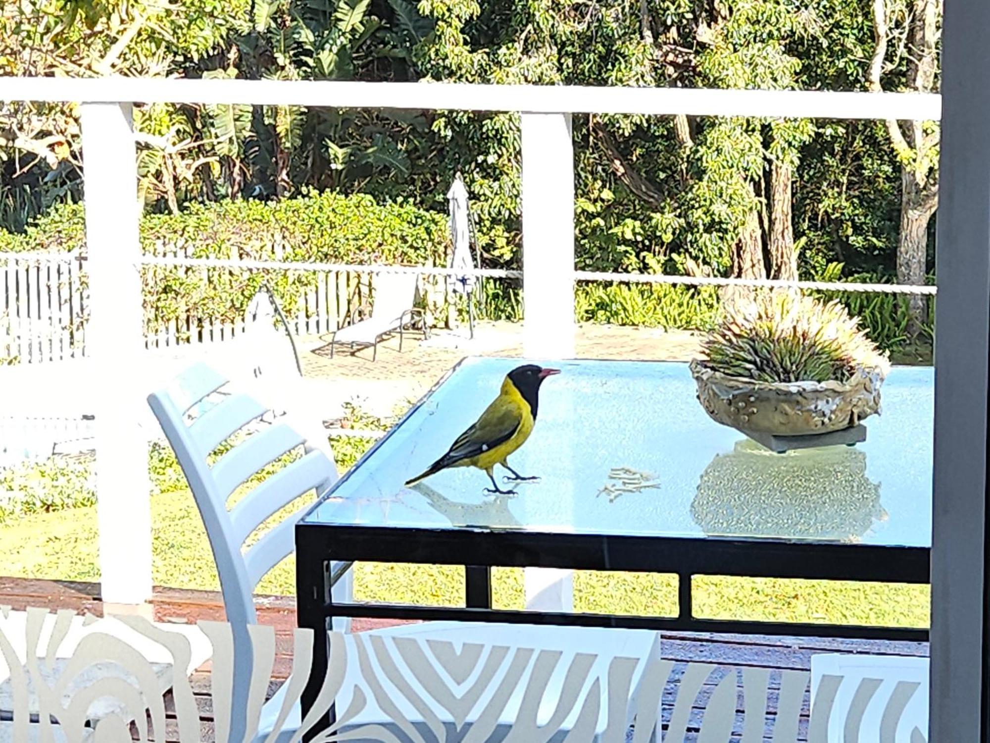 Stannards Guest Lodge 4 Star B&B, Knysna Eksteriør billede