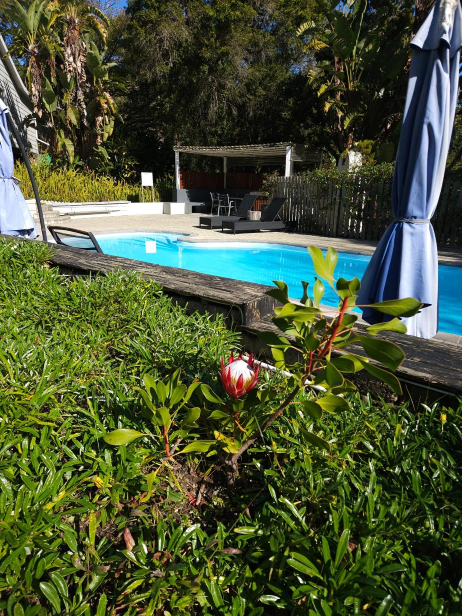 Stannards Guest Lodge 4 Star B&B, Knysna Eksteriør billede
